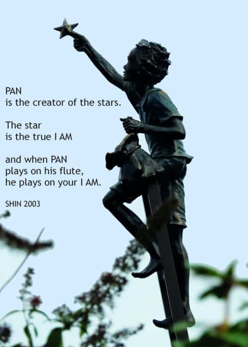 Star-Nectar of wisdom 2023-Pan Terra